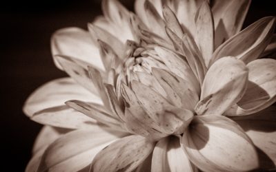 Dein Licht