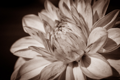Dein Licht